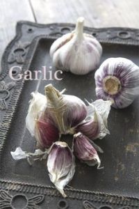 Garlic and collagen production