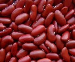 kidney beans increase hyaluronic acid in skin